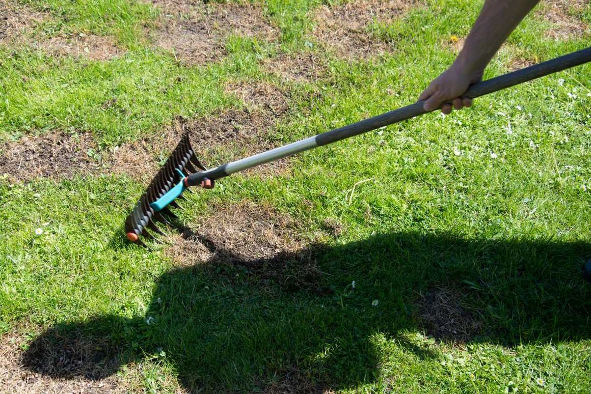 Person recht Rasen mit einem Rechen